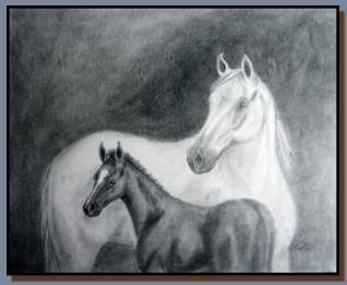 Graphite drawing of a white mare and a dark foal.