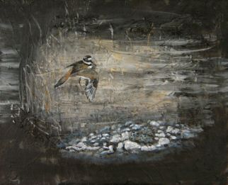 Acrylic painting named "Killdeer's Dance"