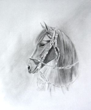 Graphite drawing of PHF Ronaldo