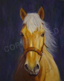 Oil painting of Mandy simiular to an earlier painting of the same mare.