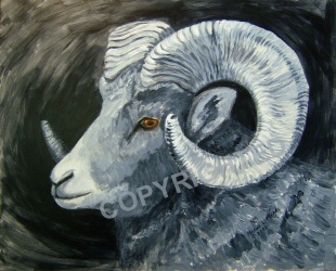 Bighorn sheep painted in black and white with eye color for contrast.