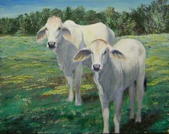 Acrylic painting of a Brahama Cow and Calf
