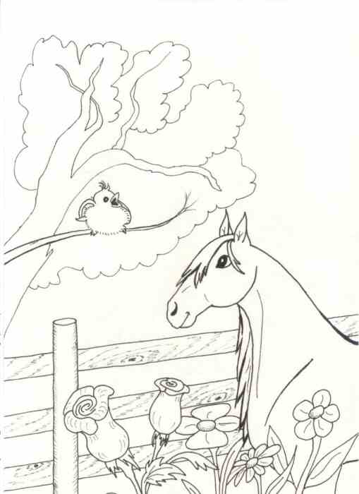 Page 19 from Coloring Book of Horses