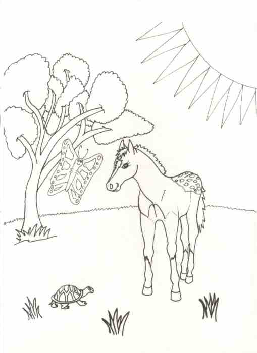 Page 20 from Coloring Book of Horses