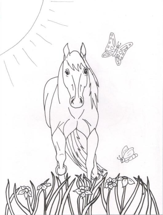 Page 8 from Coloring Book of Horses
