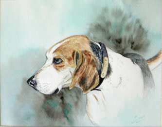 Watercolor painting of a Treeing Walker.