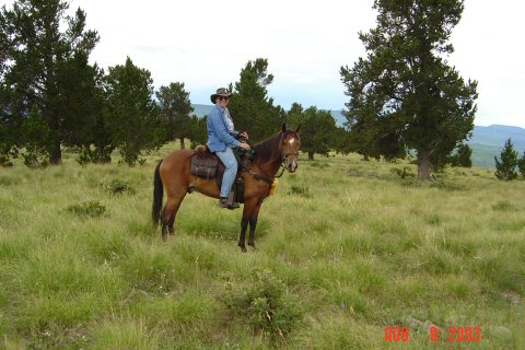 Nadine and her Peruvian gelding at 10,000 feet in Pecos Wilderness, NM