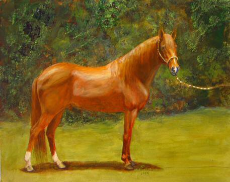 Acrylic painting of Rayo, a Peruvian Paso.