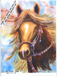 Sooner State Peruvin Paso Horse Club 16th Annual Regional Championship Show